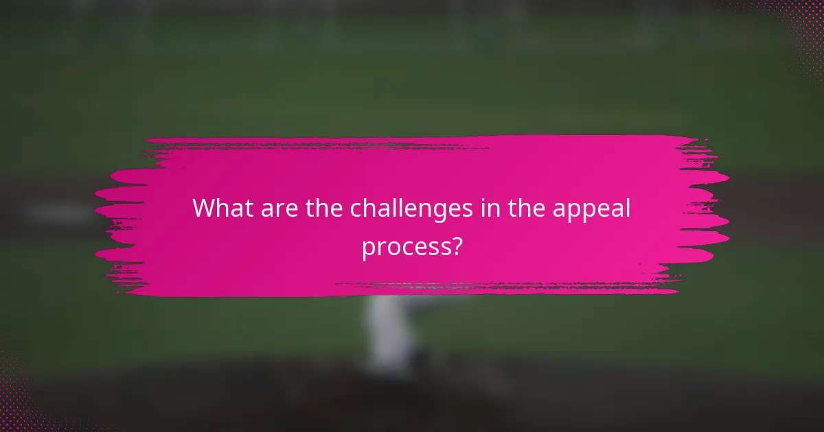 What are the challenges in the appeal process?