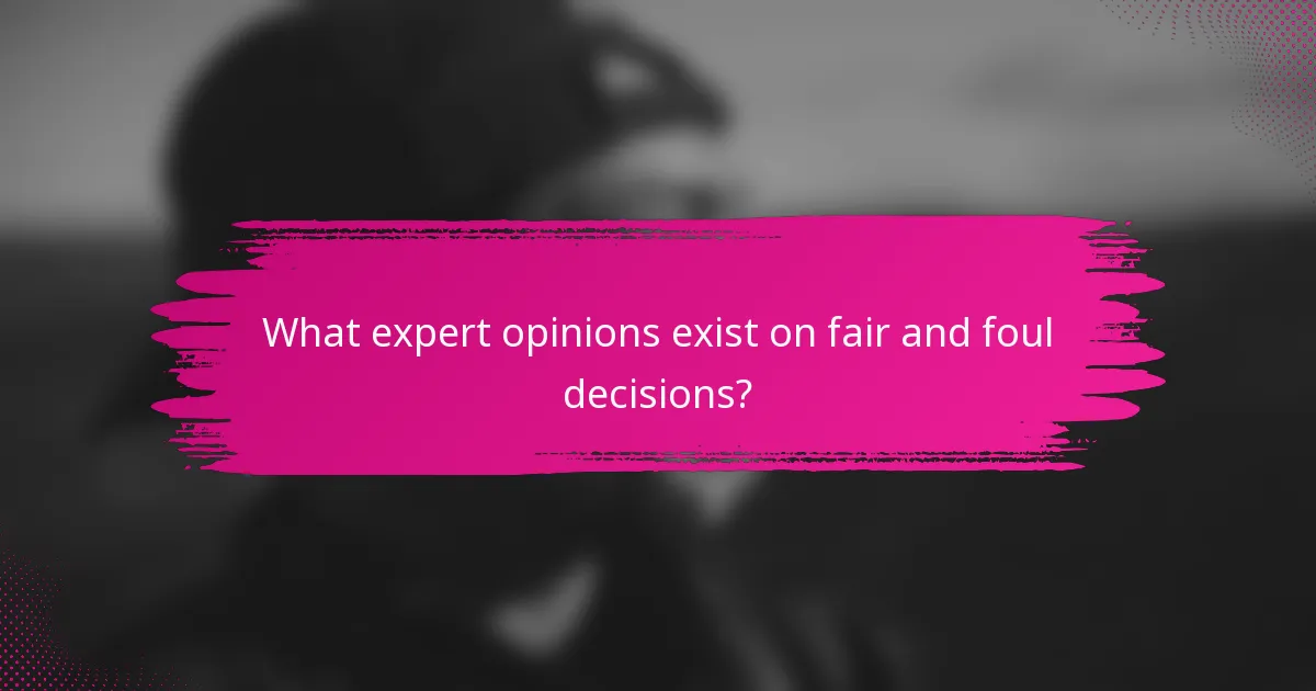 What expert opinions exist on fair and foul decisions?